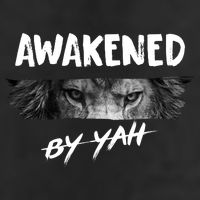 Awakened By Yah 7 Panel Mesh Trucker Snapback Hat