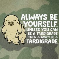 Always Be Yourself Unless You Can Be A Tardigrade Legacy Tie Dye Trucker Hat