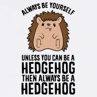 Always Be Yours Unless You Can Be A Hedgehog Cool Gift Wool Snapback Cap