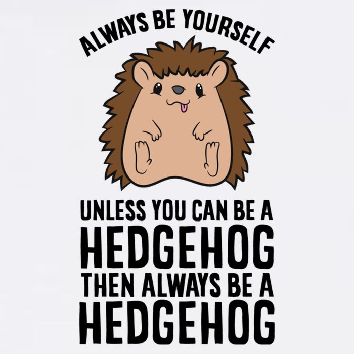Always Be Yours Unless You Can Be A Hedgehog Cool Gift Wool Snapback Cap