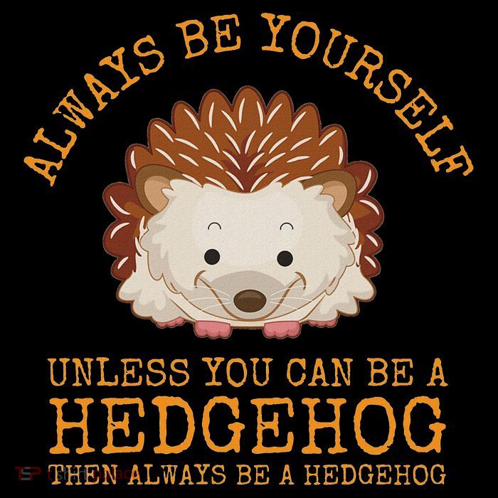 Always Be Yourself Unless You Can Be A Hedgehog Flatbill Hat