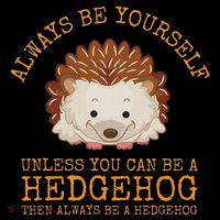 Always Be Yourself Unless You Can Be A Hedgehog Tie Dye Hoodie