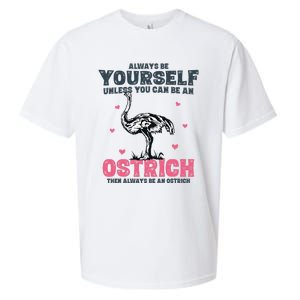 Always Be Yourself Unless You Can Be A Ostrich Sueded Cloud Jersey T-Shirt