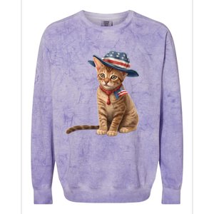 American Cat 4th Of July Cat Patriotic Cats Abyssinian Kitten Colorblast Crewneck Sweatshirt