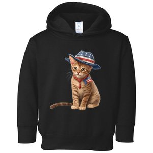 American Cat 4th Of July Cat Patriotic Cats Abyssinian Kitten Toddler Hoodie