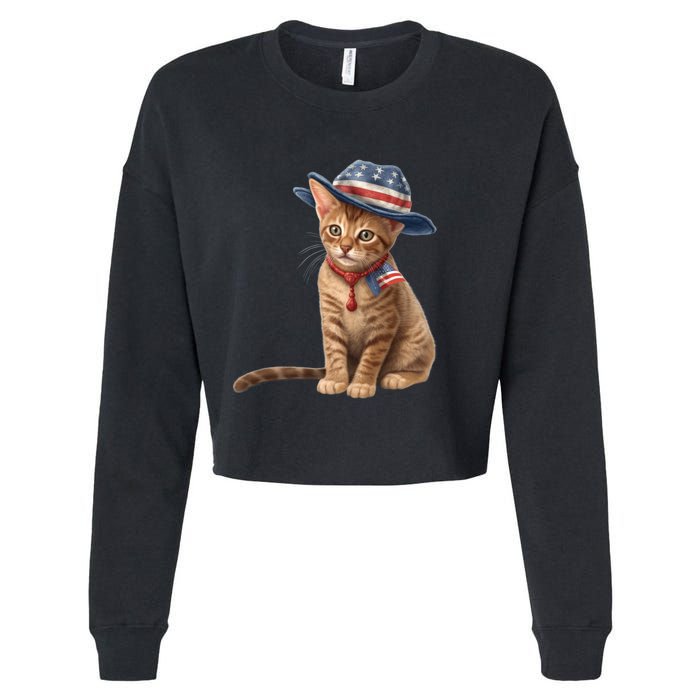 American Cat 4th Of July Cat Patriotic Cats Abyssinian Kitten Cropped Pullover Crew