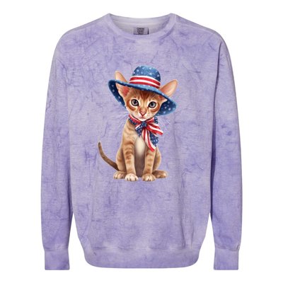 American Cat 4th Of July Cat Patriotic Cats Abyssinian Kitten Colorblast Crewneck Sweatshirt