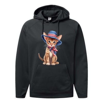 American Cat 4th Of July Cat Patriotic Cats Abyssinian Kitten Performance Fleece Hoodie