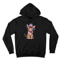 American Cat 4th Of July Cat Patriotic Cats Abyssinian Kitten Hoodie