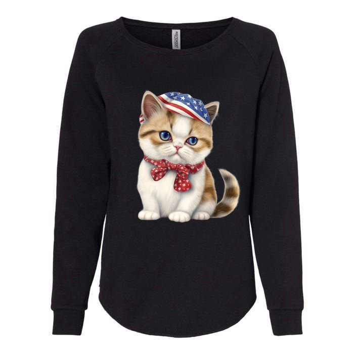 American Cat 4th Of July Cat Patriotic Cats Exotic Shorthair Kitten Womens California Wash Sweatshirt