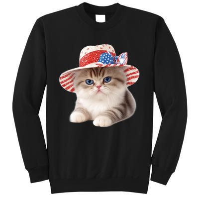 American Cat 4th Of July Cat Patriotic Cats Exotic Shorthair Kitten Sweatshirt