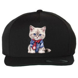 American Cat 4th Of July Cat Patriotic Cats Himalayan Kitten Wool Snapback Cap