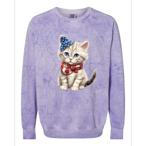 American Cat 4th Of July Cat Patriotic Cats Himalayan Kitten Colorblast Crewneck Sweatshirt