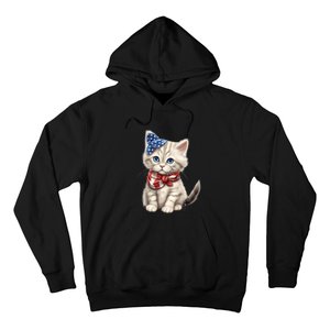 American Cat 4th Of July Cat Patriotic Cats Himalayan Kitten Hoodie