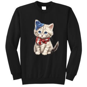 American Cat 4th Of July Cat Patriotic Cats Himalayan Kitten Sweatshirt