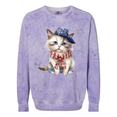 American Cat 4th Of July Cat Patriotic Cats Himalayan Kitten Colorblast Crewneck Sweatshirt