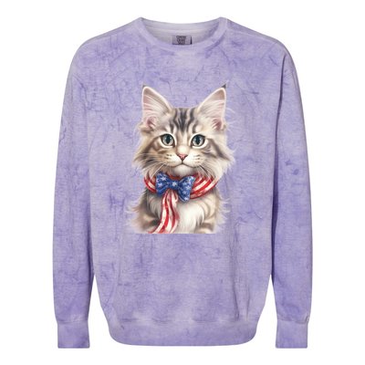 American Cat 4th Of July Cat Patriotic Cats Maine Coon Kitten Colorblast Crewneck Sweatshirt