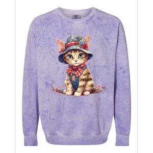 American Cat 4th Of July Cat Patriotic Cats Savannah Kitten Colorblast Crewneck Sweatshirt