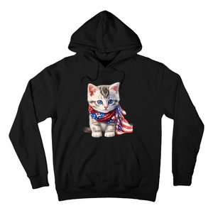 American Cat 4th Of July Cat Patriotic Cats Somali Kitten Hoodie