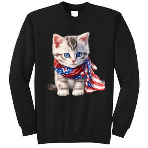 American Cat 4th Of July Cat Patriotic Cats Somali Kitten Sweatshirt