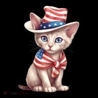 American Cat 4th Of July Cat Patriotic Cats Sphynx Kitten Mesh Reversible Basketball Jersey Tank