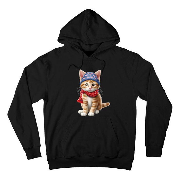 American Cat 4th Of July Cat Patriotic Cats Manx Kitten Hoodie