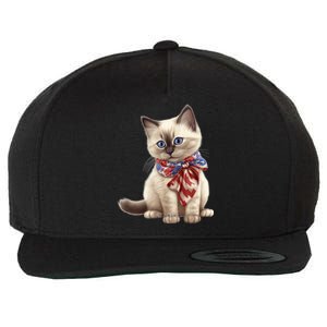 American Cat 4th Of July Cat Patriotic Cats Birman Kitten Wool Snapback Cap