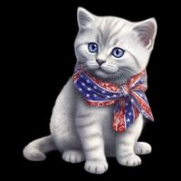 American Cat 4th Of July Cat Patriotic Cats British Shorthair Kitten Wool Snapback Cap