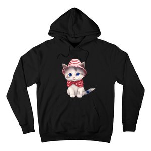 American Cat 4th Of July Cat Patriotic Cats Somali Kitten Hoodie