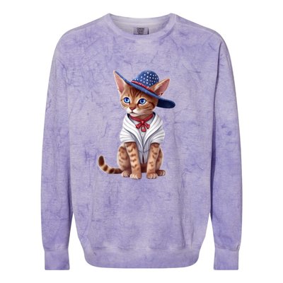 American Cat 4th Of July Cat Patriotic Cats Abyssinian Kitten Colorblast Crewneck Sweatshirt