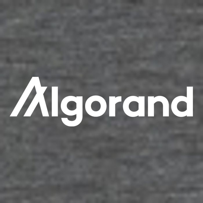 Algorand Cryptocurrency Toddler T-Shirt
