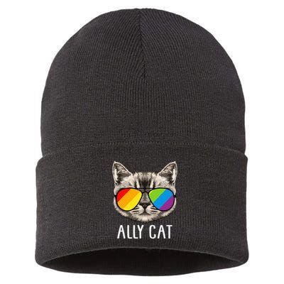 Ally Cat Ally Cat LGBTQ+ LGBT Flag LGBT Ally Cat Sustainable Knit Beanie