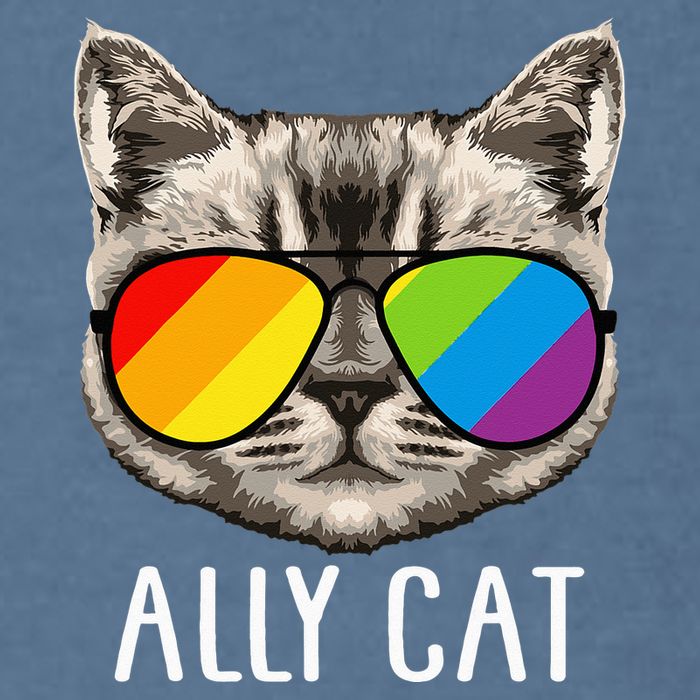 Ally Cat Ally Cat LGBTQ+ LGBT Flag LGBT Ally Cat Garment-Dyed Sweatshirt