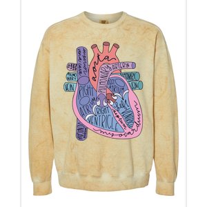 Anatomy Cardiologist Anatomical Heart Colorblast Crewneck Sweatshirt