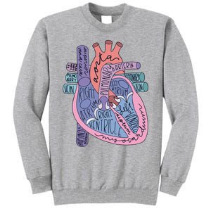 Anatomy Cardiologist Anatomical Heart Tall Sweatshirt