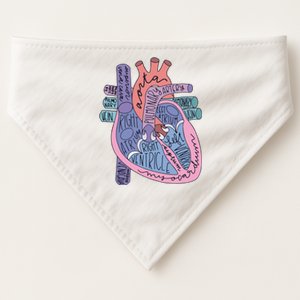 Anatomy Cardiologist Anatomical Heart USA-Made Doggie Bandana