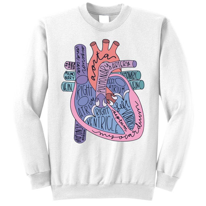 Anatomy Cardiologist Anatomical Heart Sweatshirt