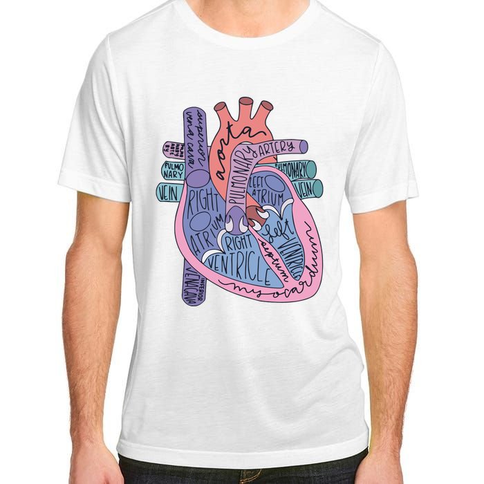 Anatomy Cardiologist Anatomical Heart Adult ChromaSoft Performance T-Shirt