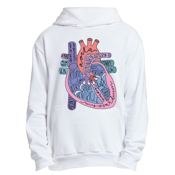 Anatomy Cardiologist Anatomical Heart Urban Pullover Hoodie