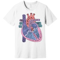 Anatomy Cardiologist Anatomical Heart Premium T-Shirt