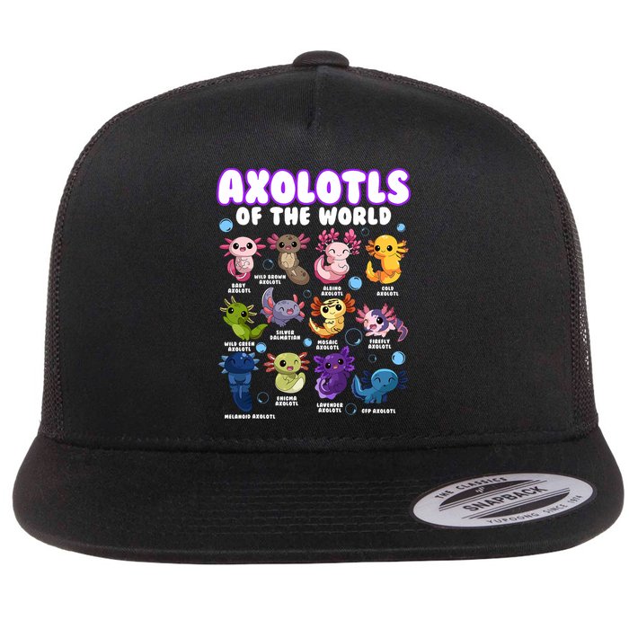 Axolotl Cute Axolotls Animals Of The World Herpetology 2 Flat Bill Trucker Hat