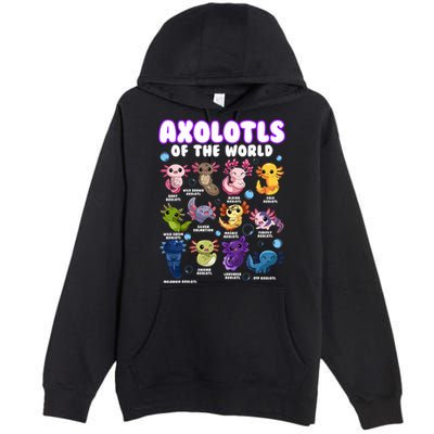 Axolotl Cute Axolotls Animals Of The World Herpetology 2 Premium Pullover Hoodie