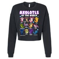 Axolotl Cute Axolotls Animals Of The World Herpetology 2 Cropped Pullover Crew