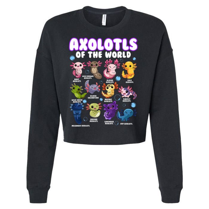 Axolotl Cute Axolotls Animals Of The World Herpetology 2 Cropped Pullover Crew