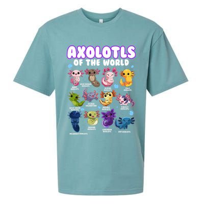 Axolotl Cute Axolotls Animals Of The World Herpetology 2 Sueded Cloud Jersey T-Shirt