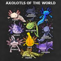 Axolotl Cute Axolotls Animals Of The World Herpetology Beanie