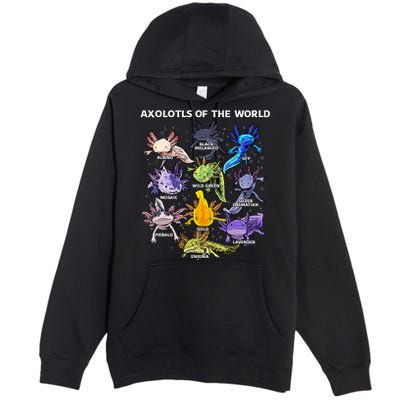 Axolotl Cute Axolotls Animals Of The World Herpetology Premium Pullover Hoodie