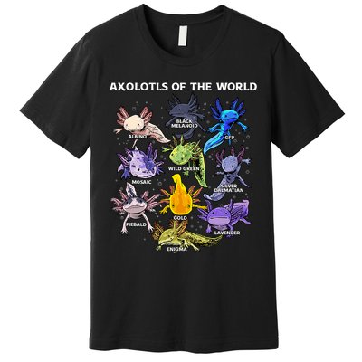 Axolotl Cute Axolotls Animals Of The World Herpetology Premium T-Shirt