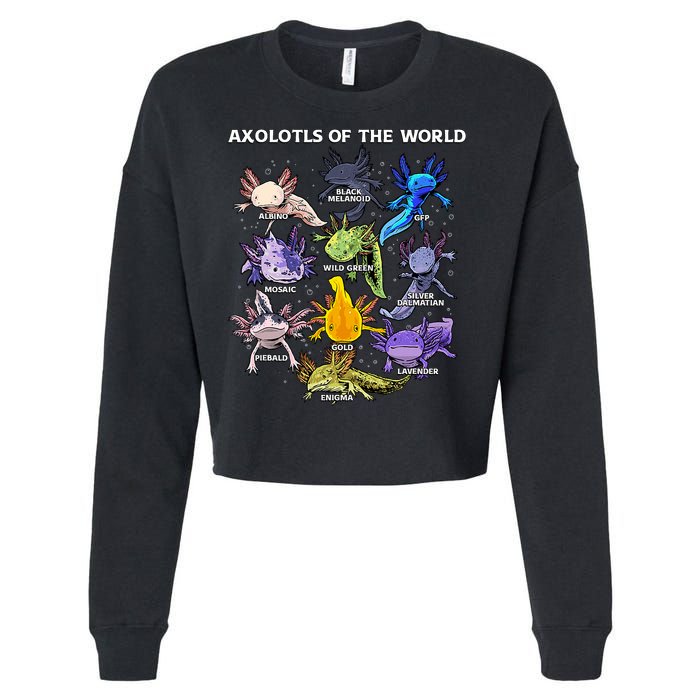 Axolotl Cute Axolotls Animals Of The World Herpetology Cropped Pullover Crew