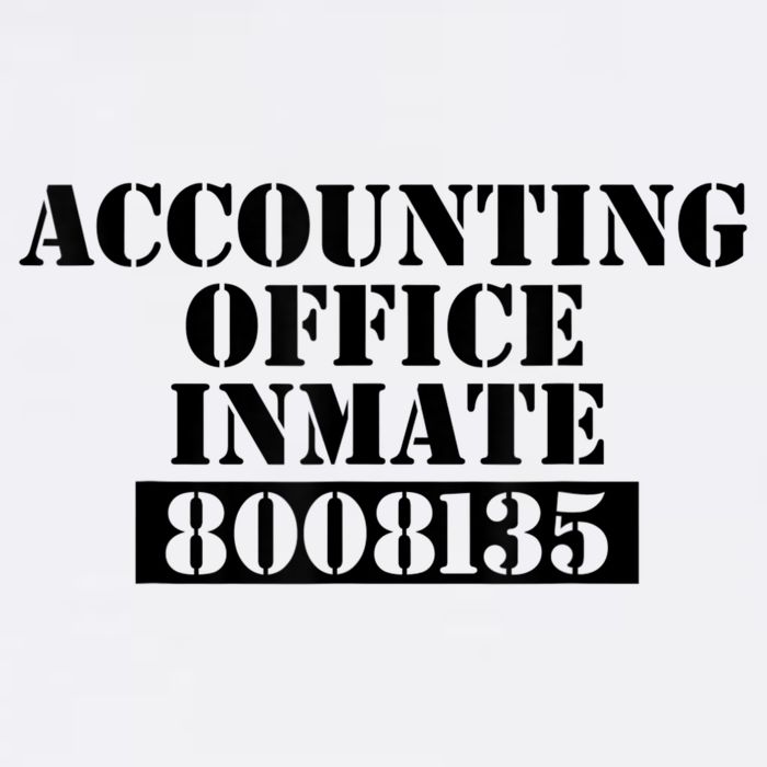 Accountant Costume Accounting Office Inmate Costume Womens T-Shirt